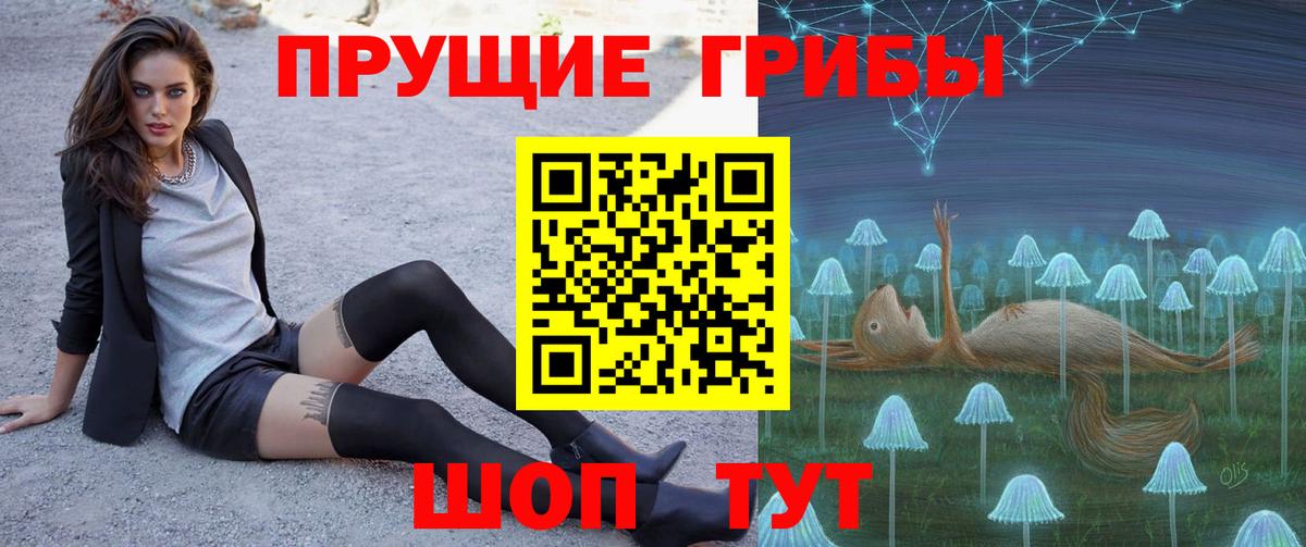 Саратов  Псилоцибиновые грибы Psilocybe  Вход с VPN  где найти   Псилоцибиновые грибы Magic Shrooms 